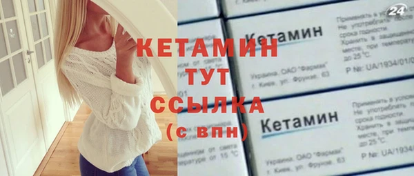 амф Ельня