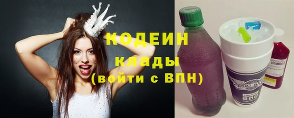амф Ельня