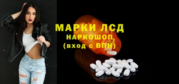 амф Ельня