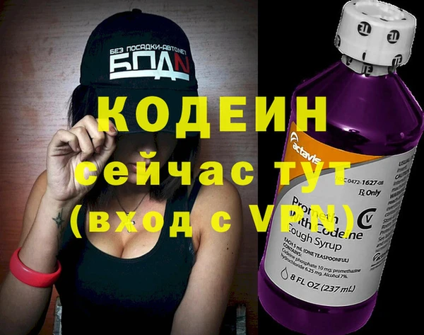 амф Ельня