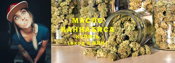 амф Ельня