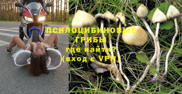 Альфа ПВП Елизово