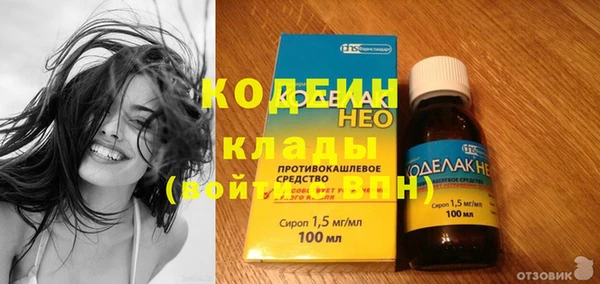 амф Ельня