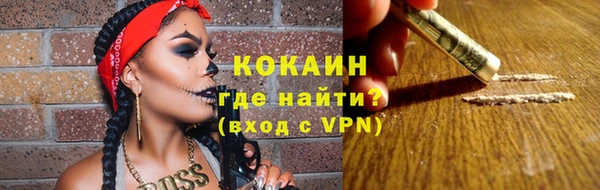 амф Ельня