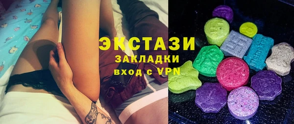 амф Ельня