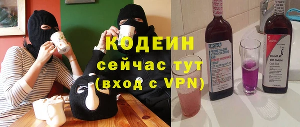 амф Ельня