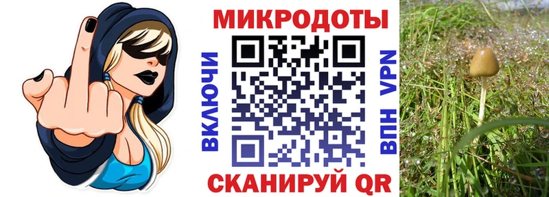 блэк спрут онион  Зерноград  Псилоцибиновые грибы MAGIC MUSHROOMS 
